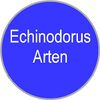 Echinodorus Arten