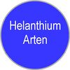Helanthium Arten